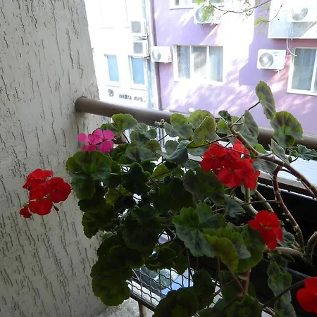 Happy Vacation Apartment Varna